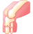 ارتوپدی